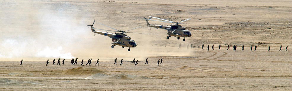 Egyptian Mi-8 helicopters